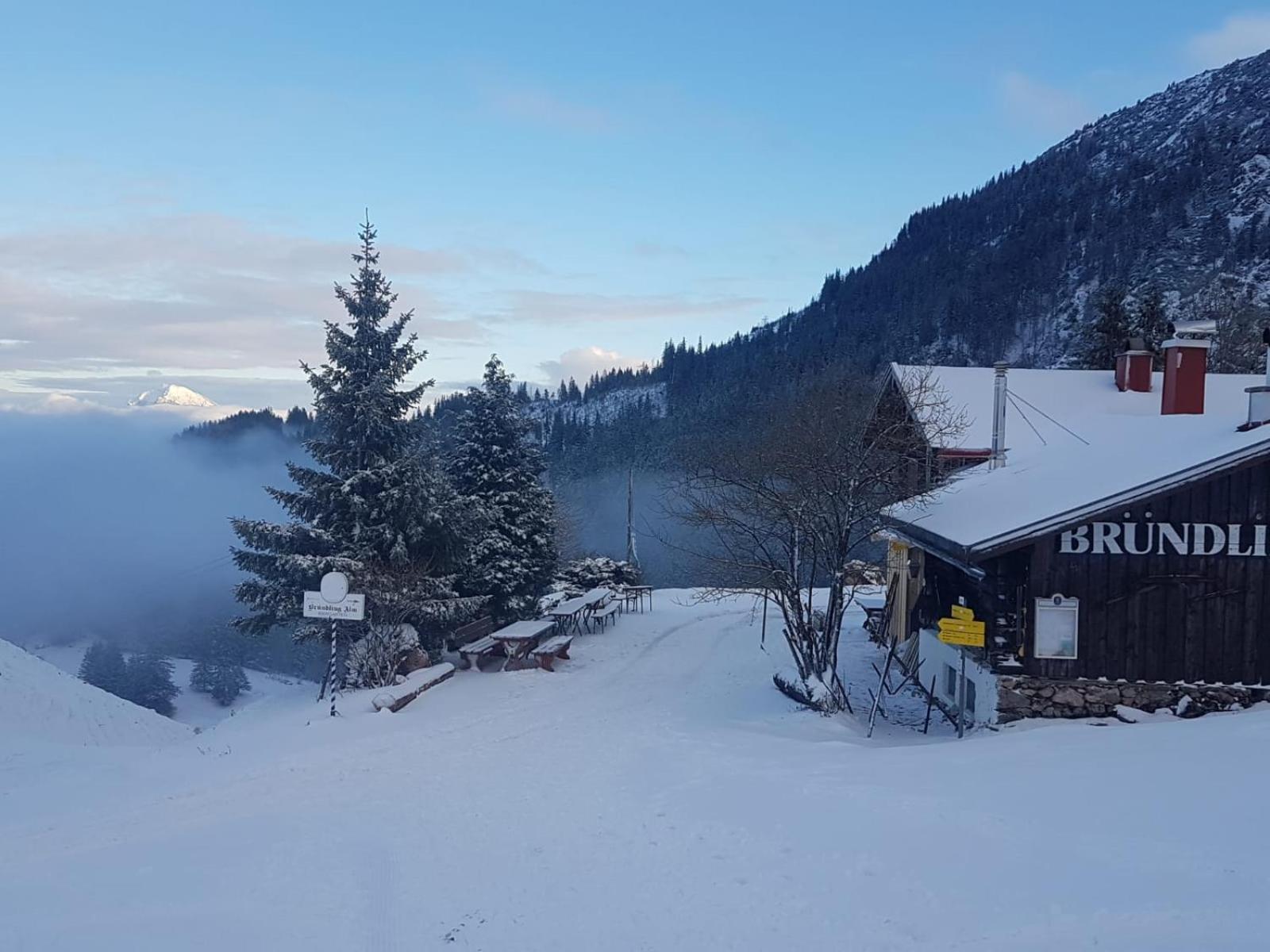 Bruendling-Alm Berggasthof Auf 1167M Auf Dem Hochfelln Bergen  Extérieur photo