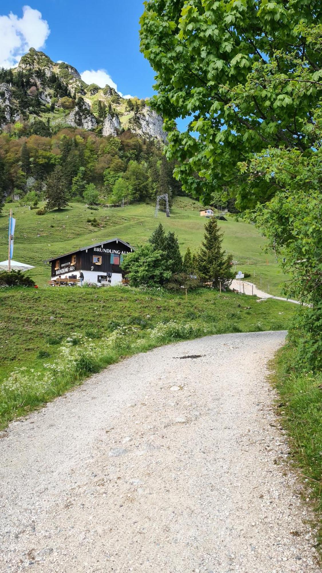 Bruendling-Alm Berggasthof Auf 1167M Auf Dem Hochfelln Bergen  Extérieur photo